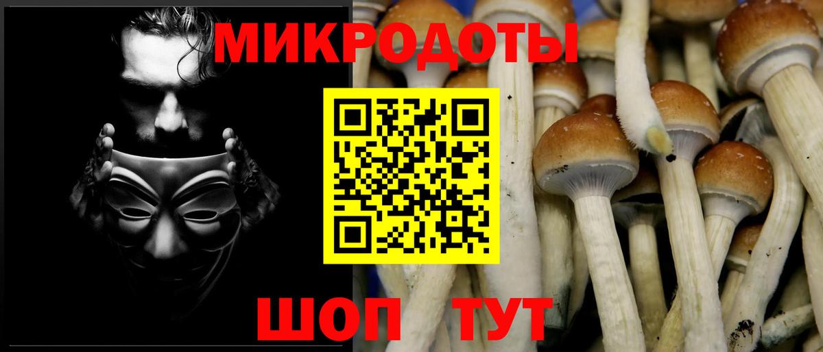 Коломна  Псилоцибиновые грибы Psilocybine cubensis  купить наркотик  Вход с VPN 